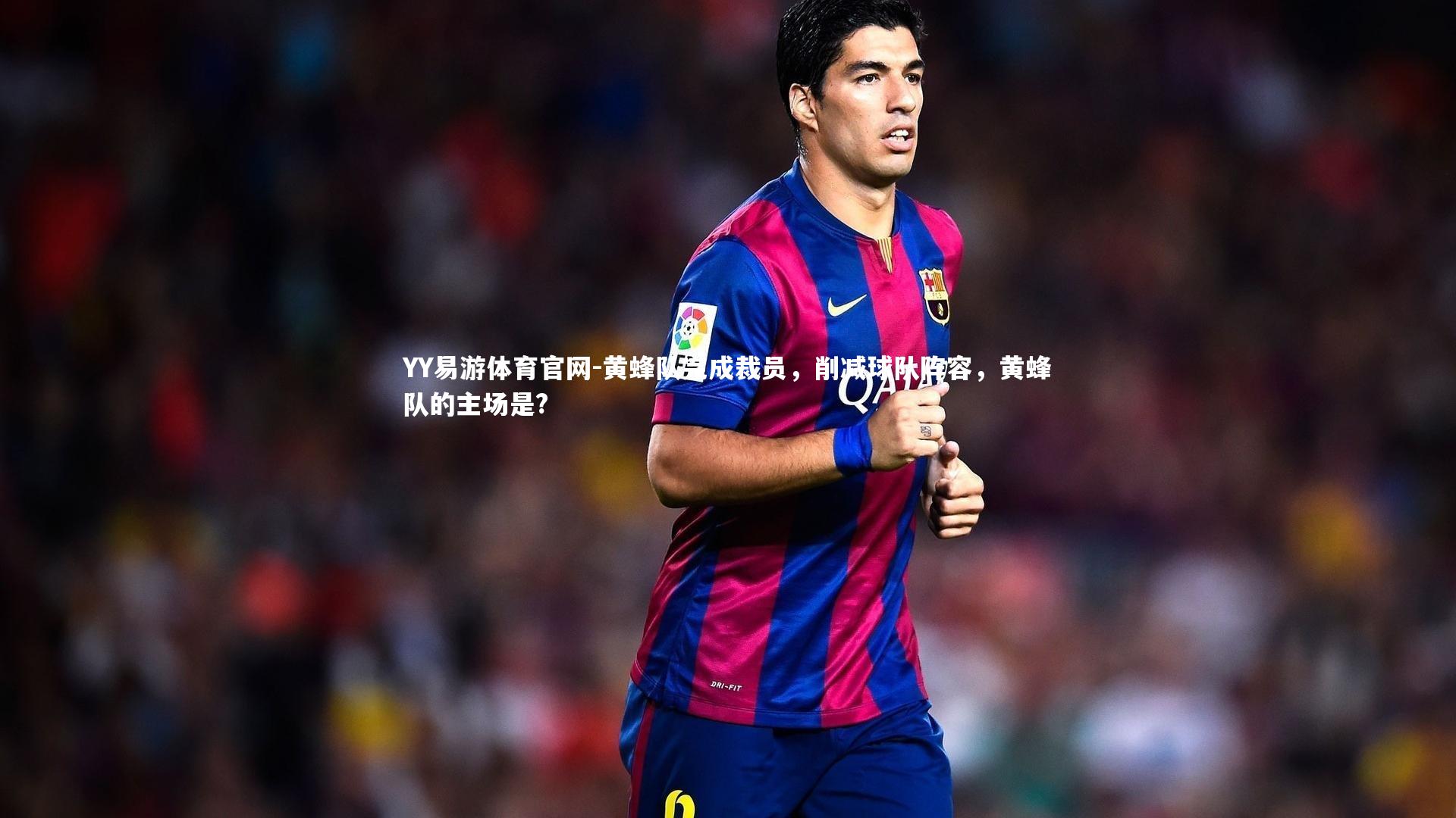 YY易游体育官网-黄蜂队完成裁员，削减球队阵容，黄蜂队的主场是?